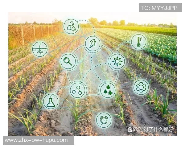 12月与5月的对比分析探讨不同季节对生活方式的影响与变化
